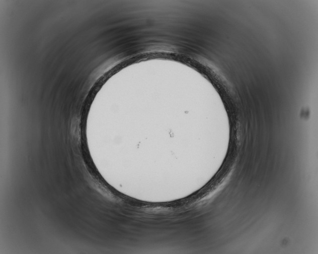 X0000100341113200807031252