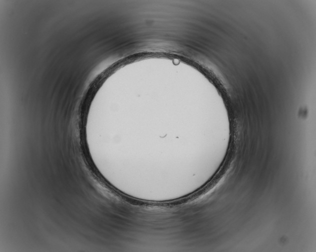 X0000100341114200807031252