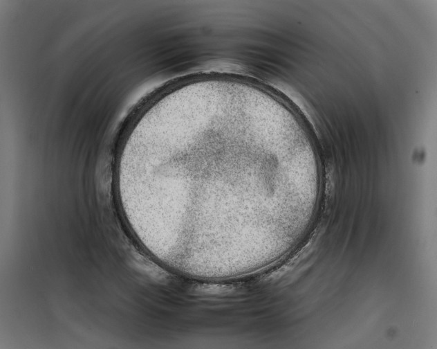 X0000100341115200807031252