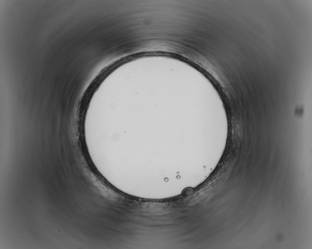 X0000100341116200807031252