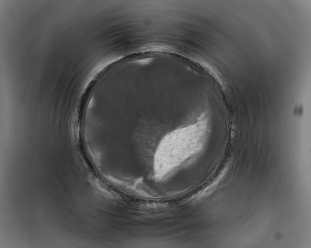 X0000100341117200807031252