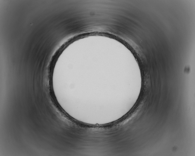 X0000100341118200807031252