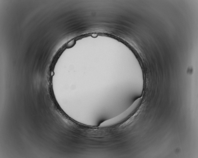 X0000100341119200807031252