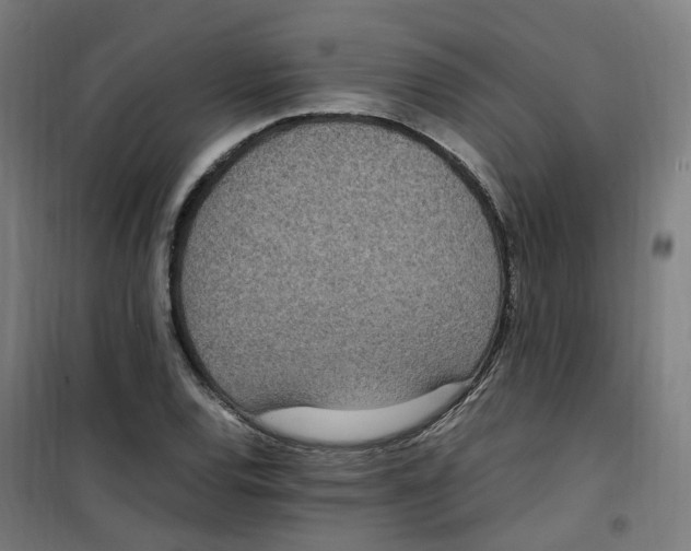 X0000100341120200807031252