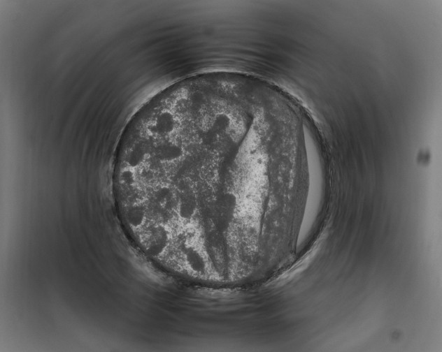 X0000100341121200807031252