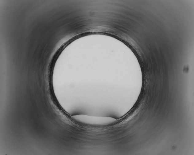 X0000100341122200807031252