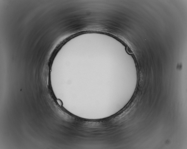 X0000100341123200807031252