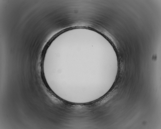 X0000100341124200807031252