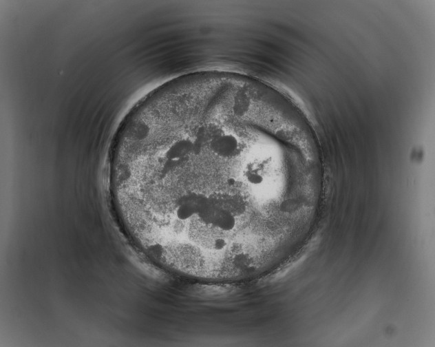 X0000100341125200807031252