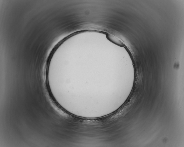 X0000100341128200807031252