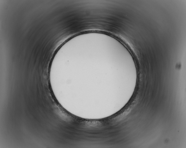 X0000100341129200807031252