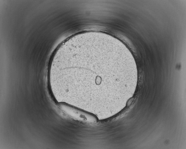 X0000100341130200807031252