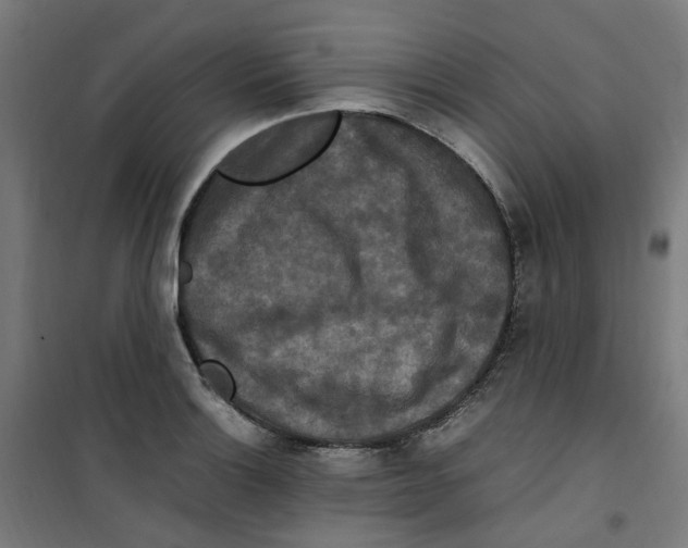 X0000100341132200807031252