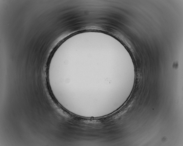 X0000100341133200807031252