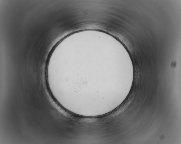 X0000100341134200807031252