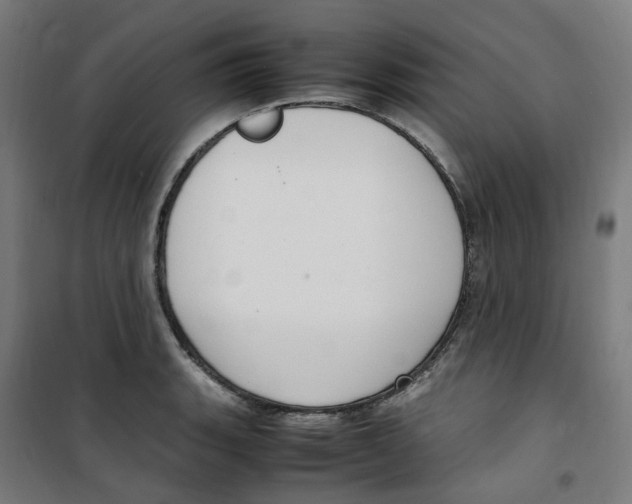 X0000100341135200807031252