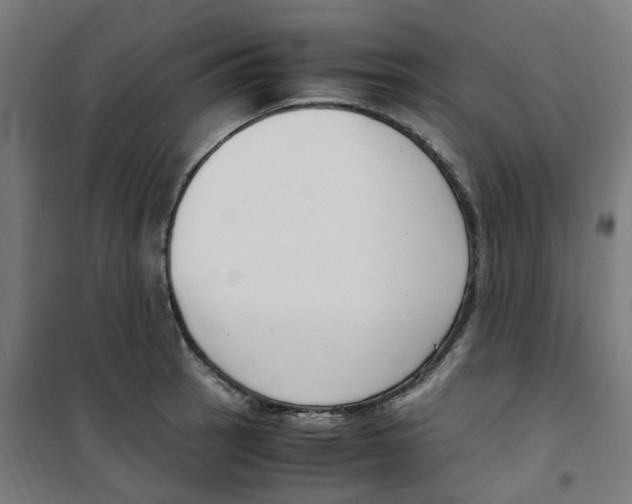 X0000100341137200807031252