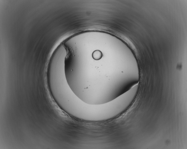 X0000100341138200807031252