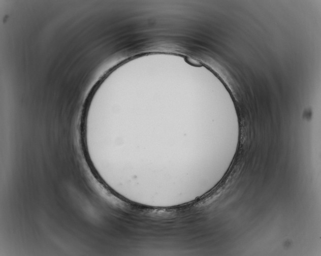 X0000100341139200807031252