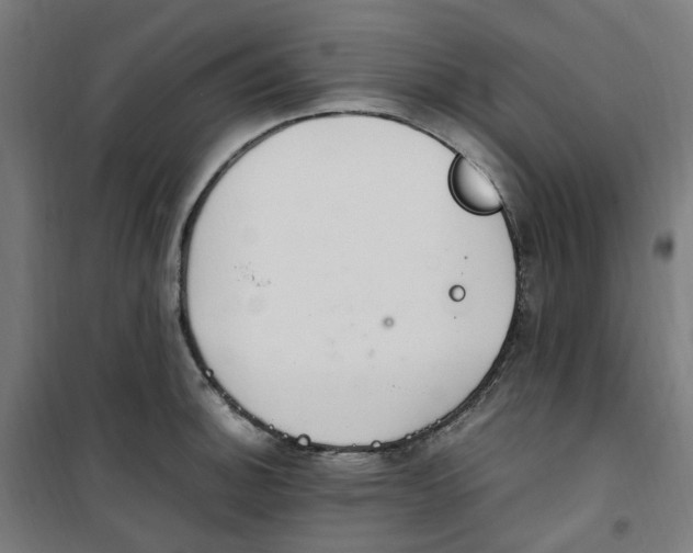 X0000100341140200807031252