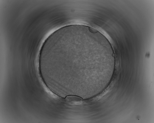 X0000100341144200807031252