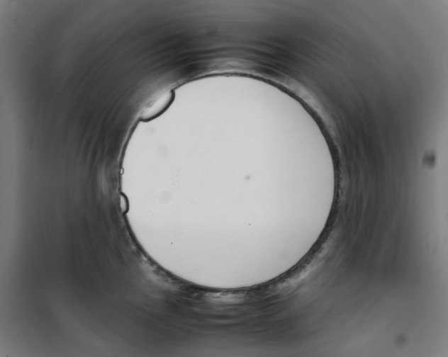 X0000100341145200807031252