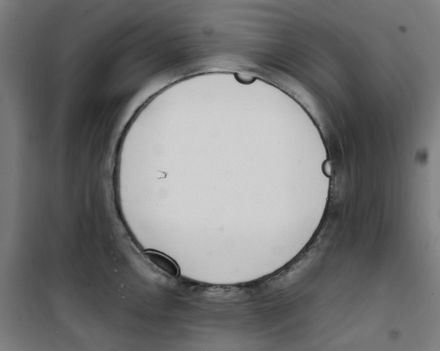 X0000100341146200807031252