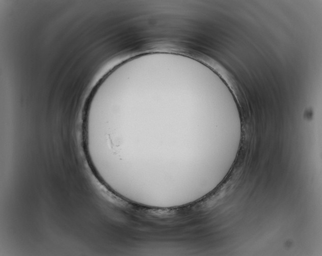 X0000100341147200807031252