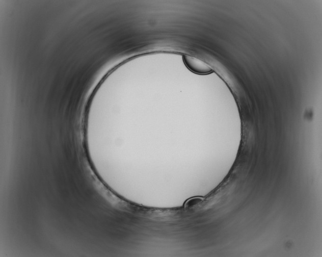 X0000100341148200807031252