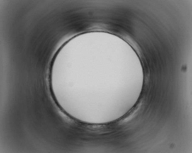 X0000100341149200807031252