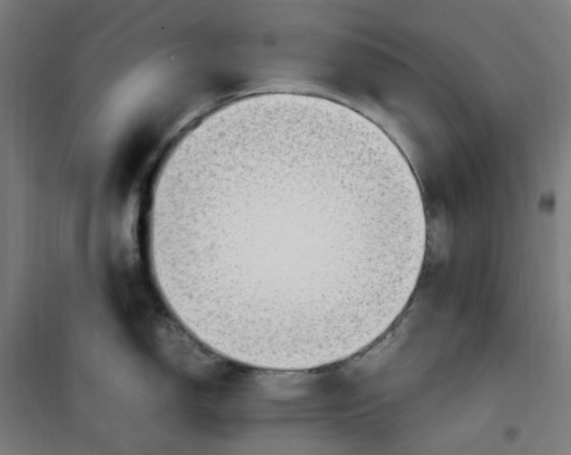 X0000100341150200807031252