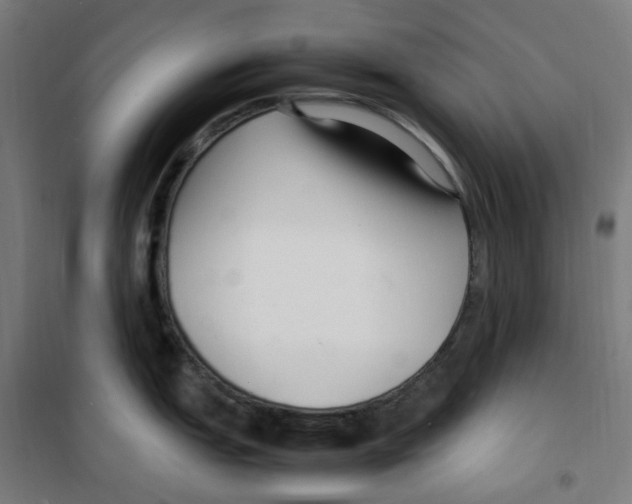 X0000100341151200807031252