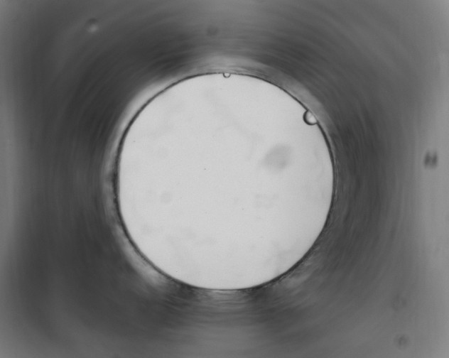 X0000100341152200807031252