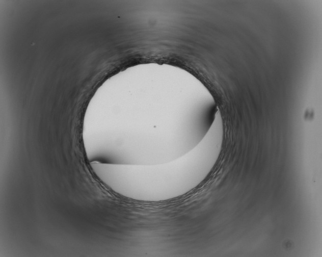 X0000100341153200807031252