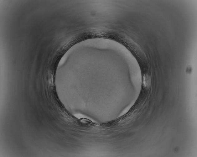 X0000100341155200807031252