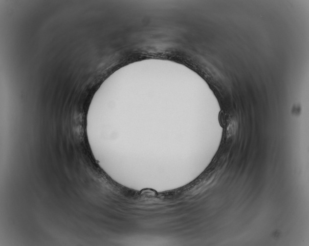 X0000100341156200807031252