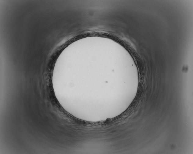 X0000100341159200807031252