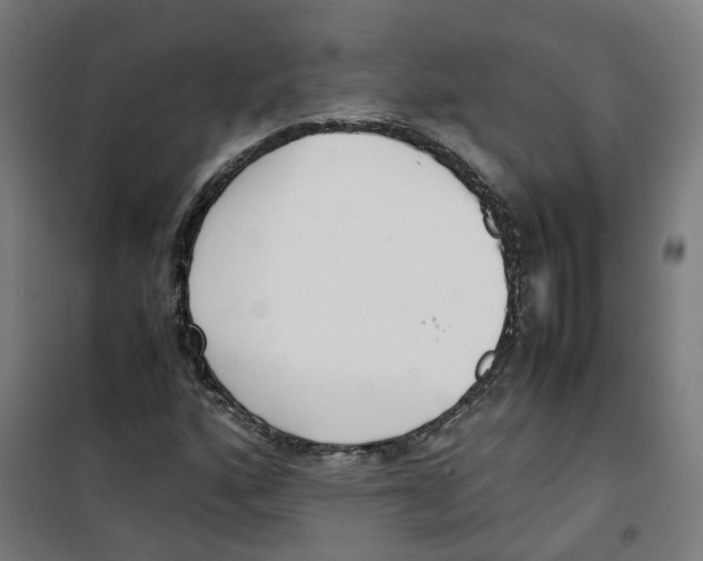 X0000100341160200807031252