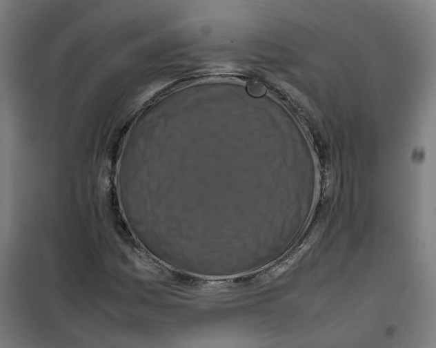 X0000100341161200807031252