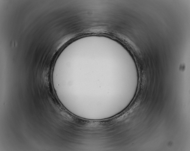 X0000100341162200807031252