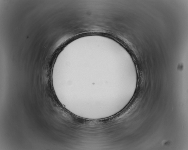 X0000100341163200807031252