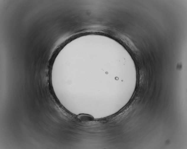 X0000100341164200807031252