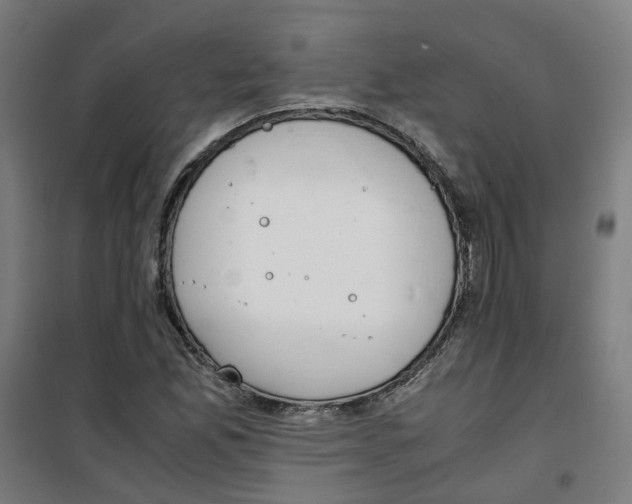 X0000100341165200807031252