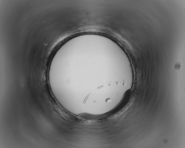 X0000100341166200807031252