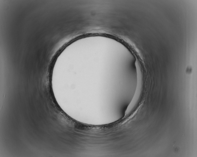 X0000100341167200807031252