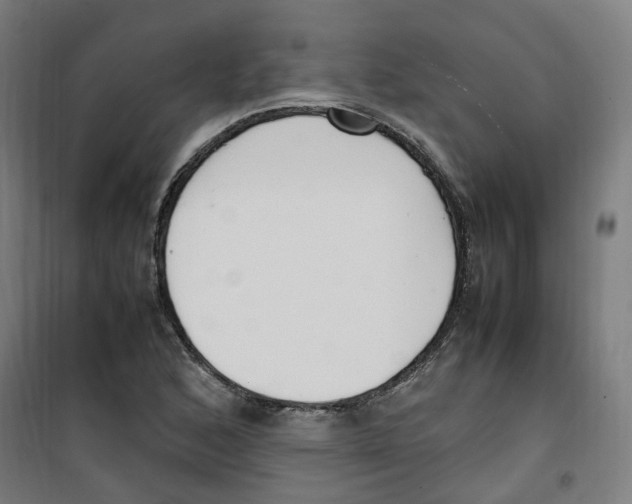 X0000100341168200807031252