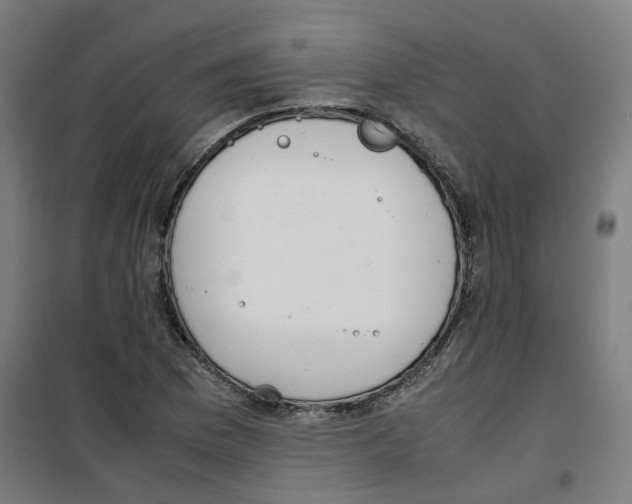 X0000100341169200807031251