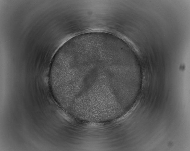 X0000100341170200807031251