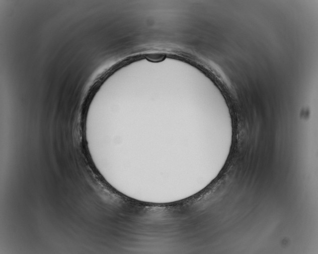 X0000100341172200807031251