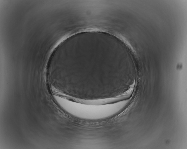 X0000100341173200807031251